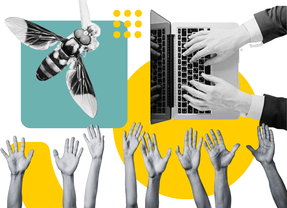 Dashboard Hoverfly Cloud Hoverfly Cloud - Premium Gradient Design Gallery - 8K